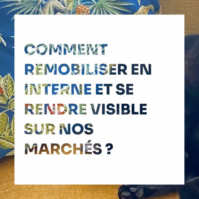 Remobiliser en internet et se rendre visible