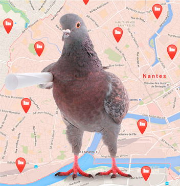 Google Pigeon