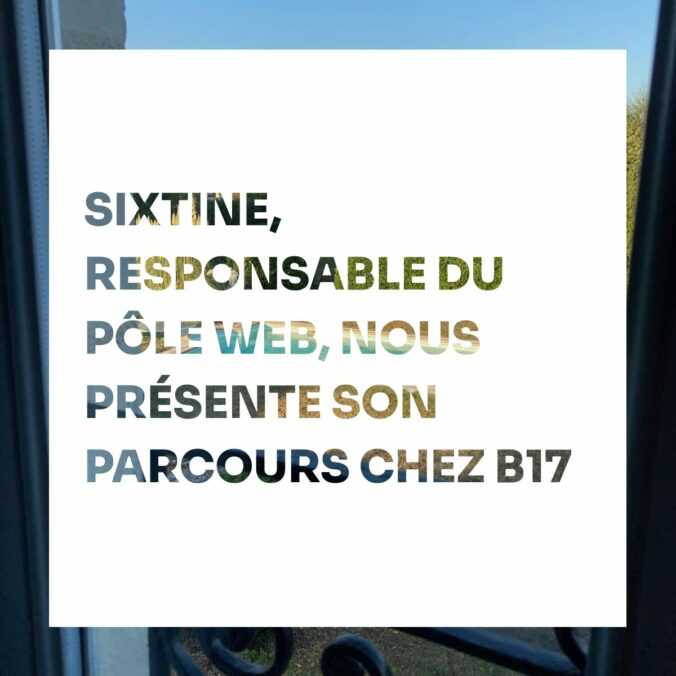 Sixtine, Responsable du pôle web